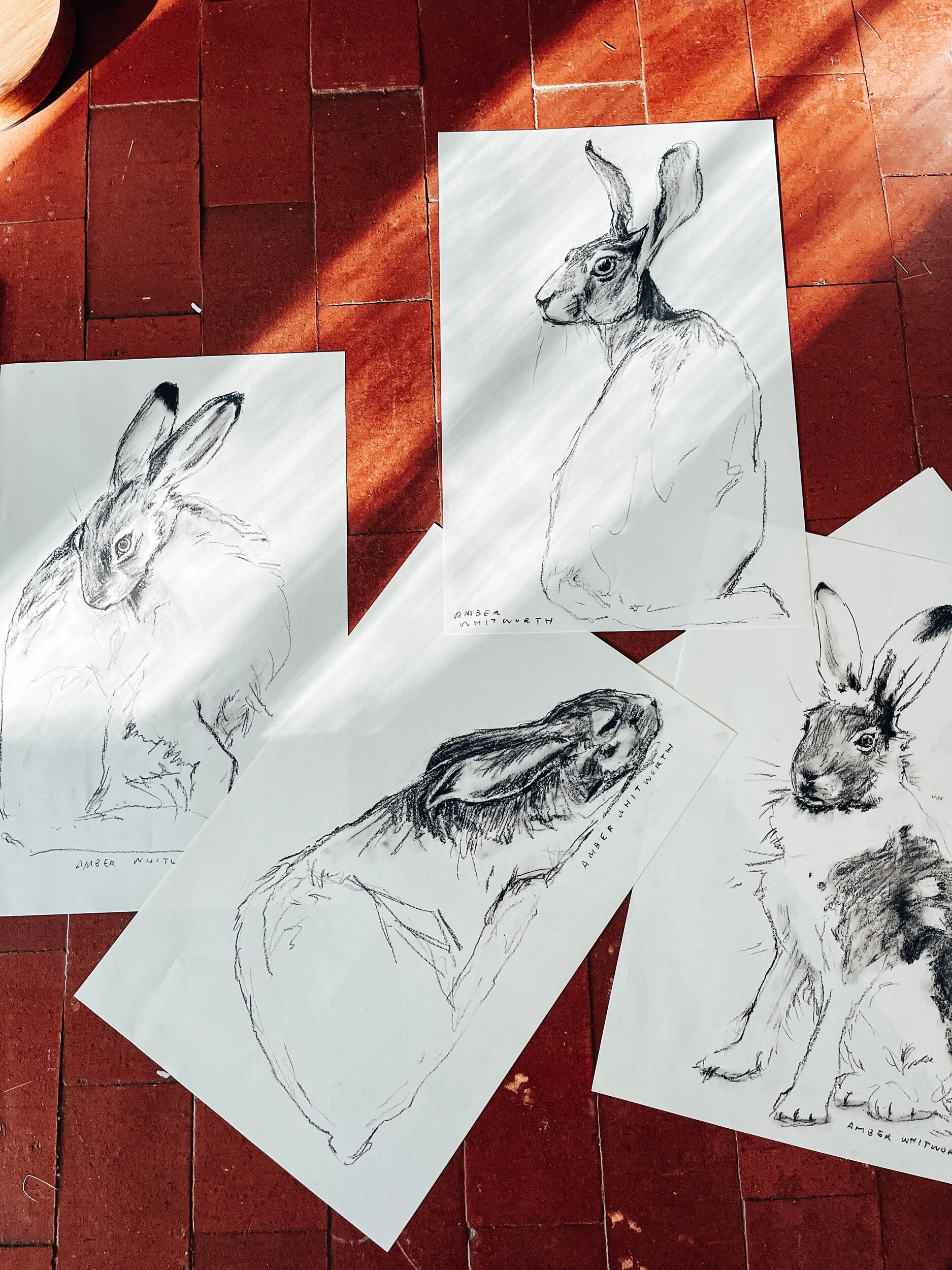 C633B638-92F3-42CD-B400-2F1447D0632E