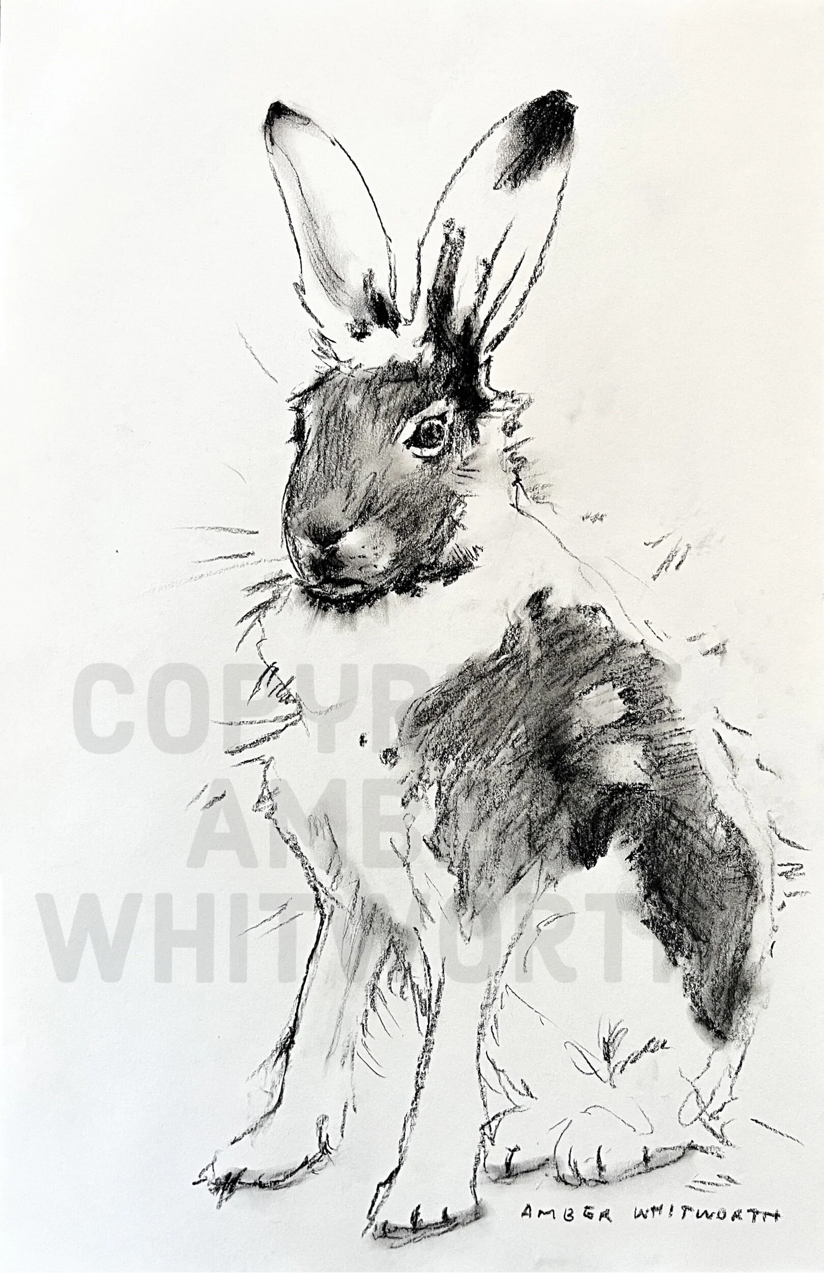 1A1BBB51-2127-4197-89B1-9FC4C3C8E4E4