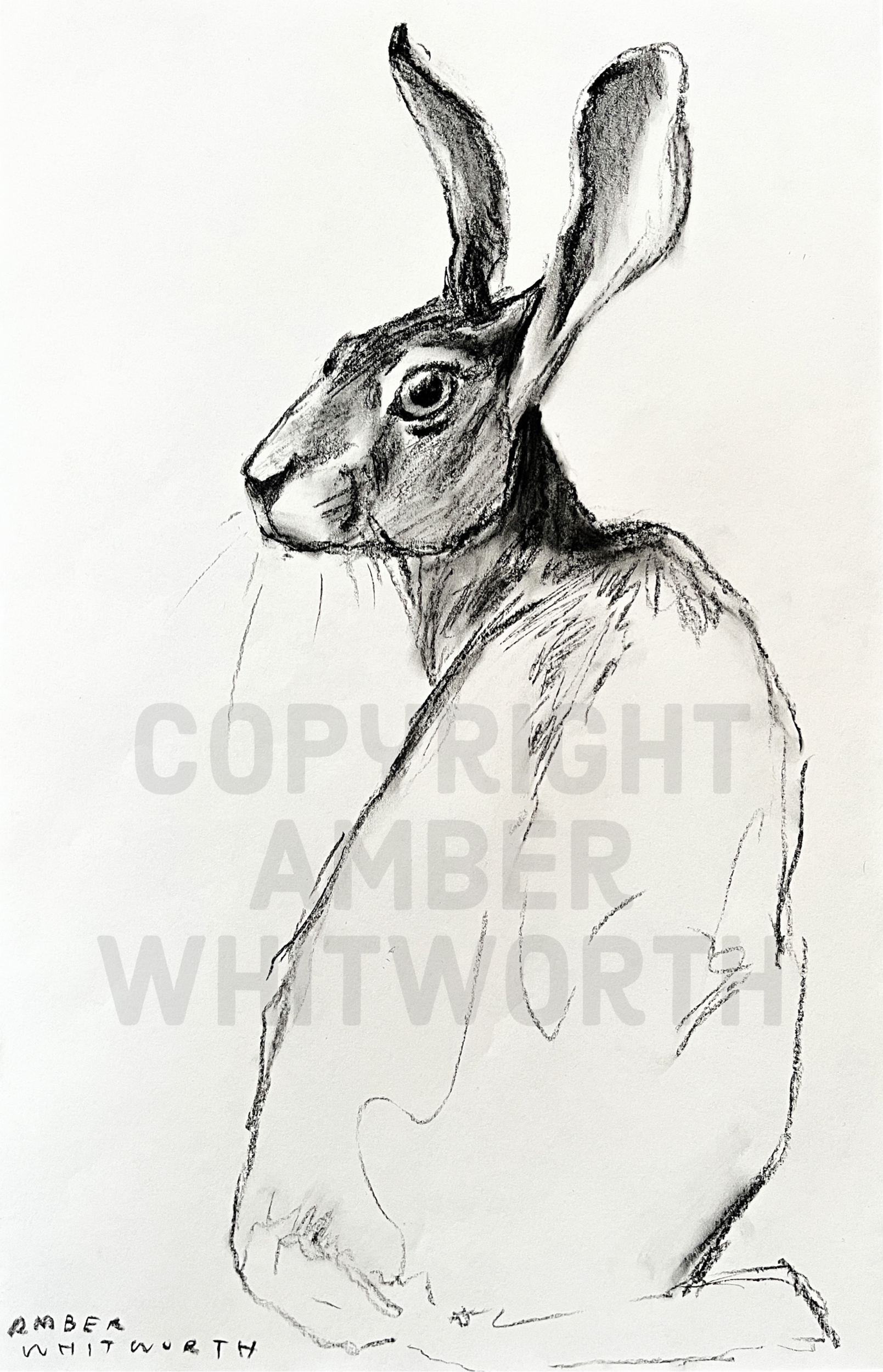 2BD4135B-A61D-473C-87B9-12E3BE12FD97