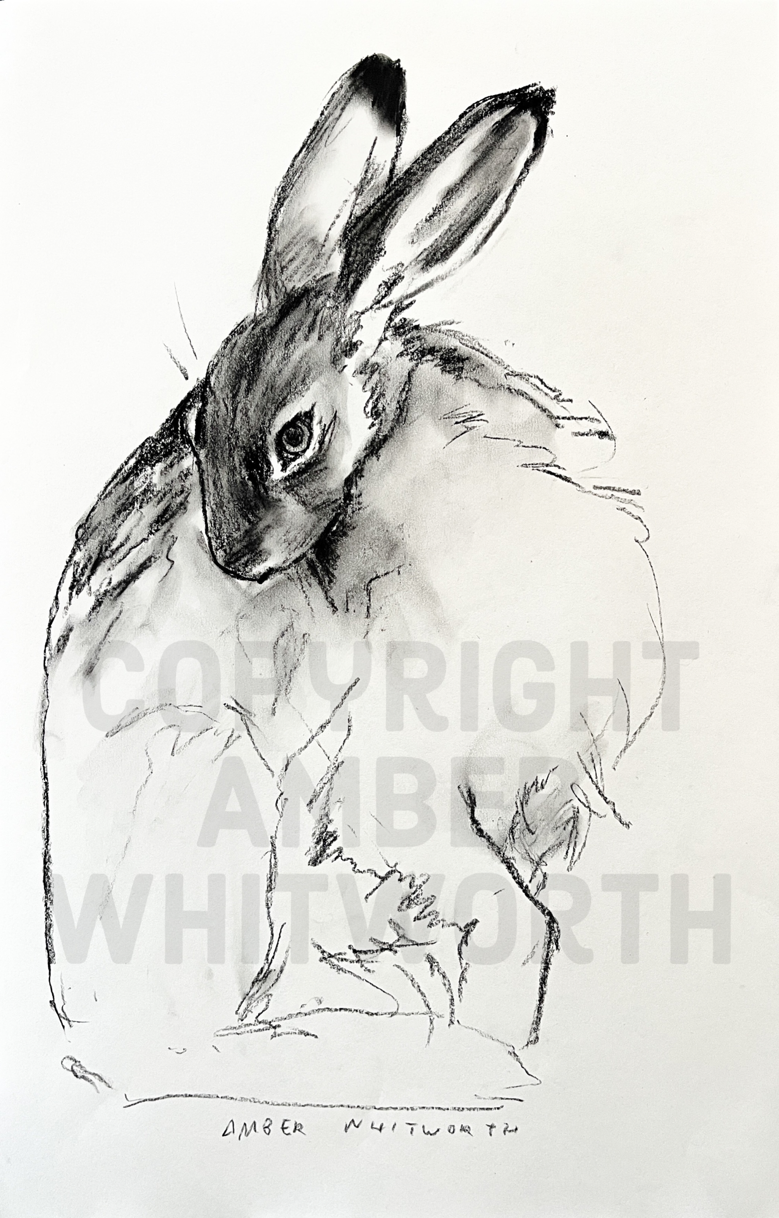 B450E805-3B17-4FAB-AC75-88AD871921E3