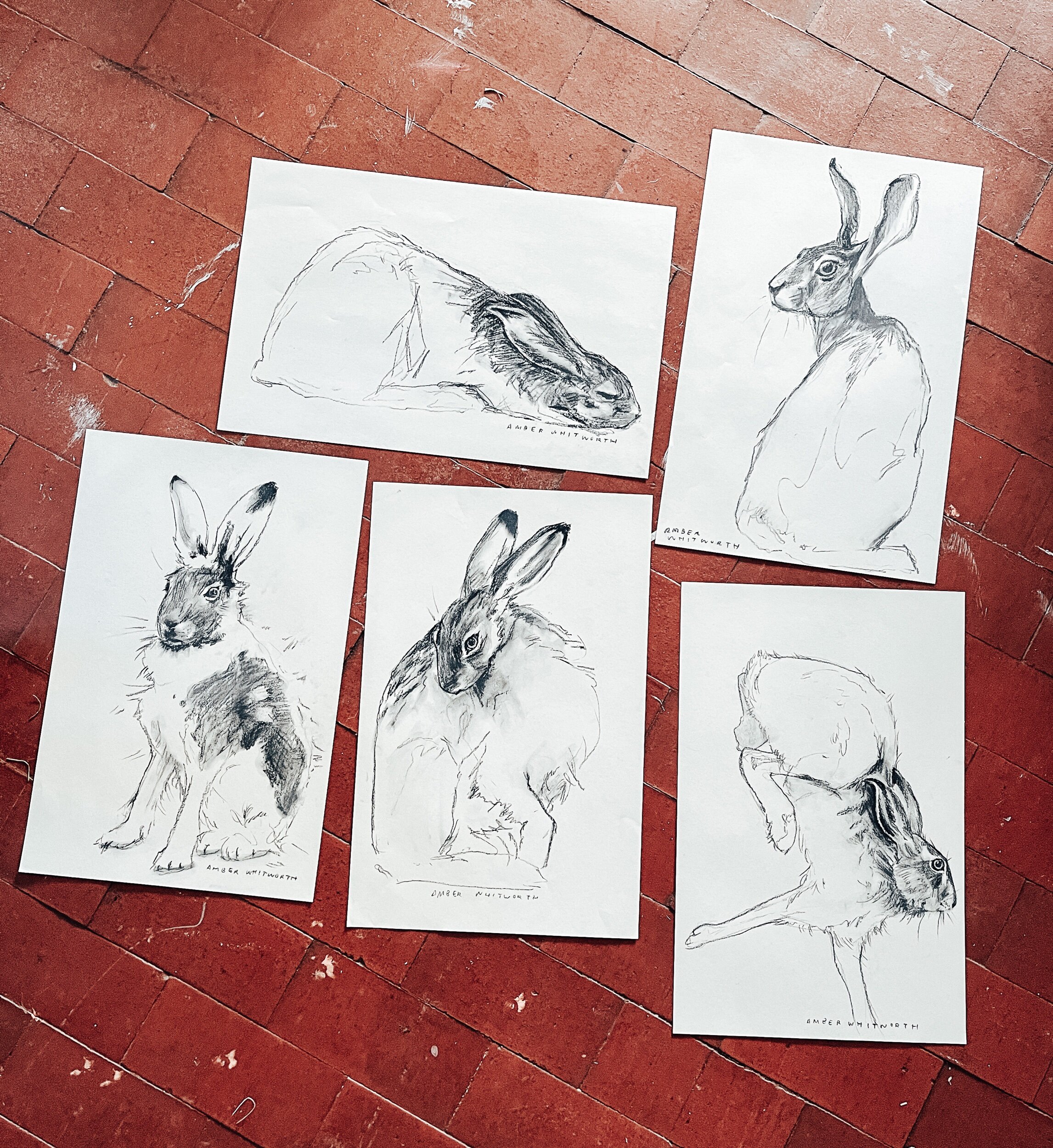 EC307C14-649D-4936-BB50-B5ABB2325D5D