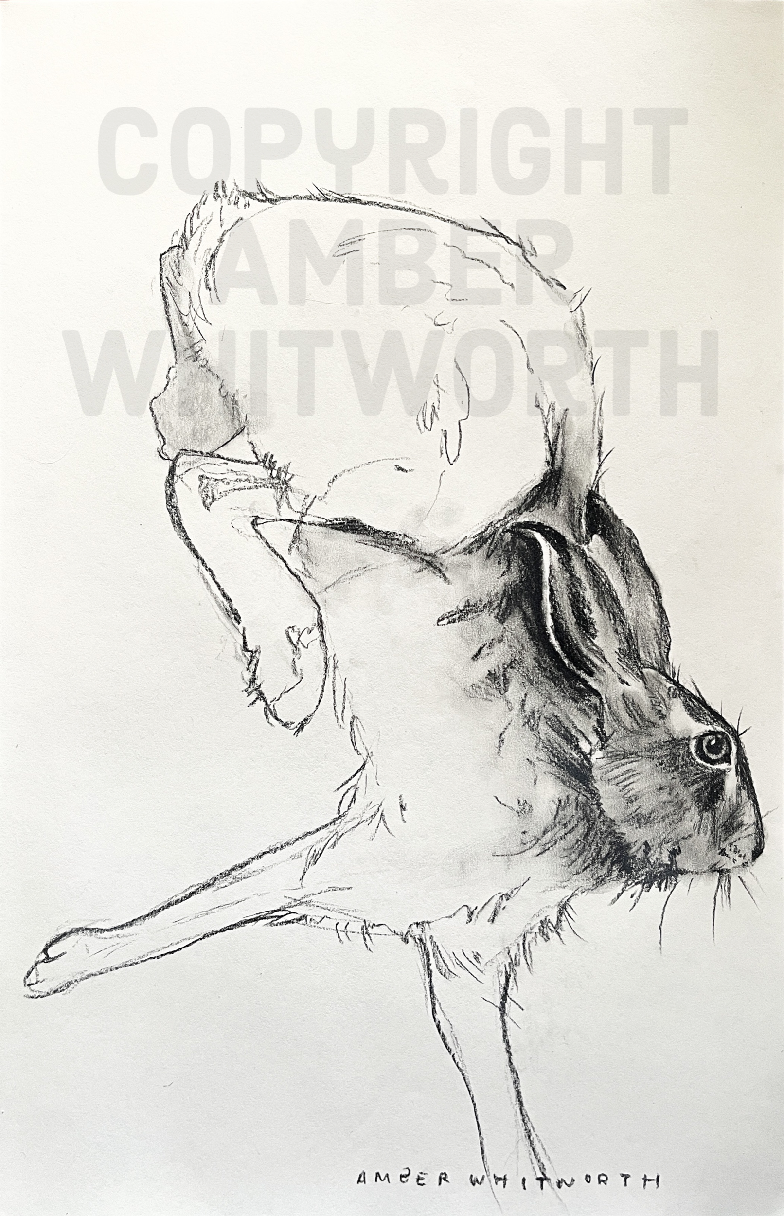 F3BE23A3-6B04-4CB2-8965-8345C7E61D75