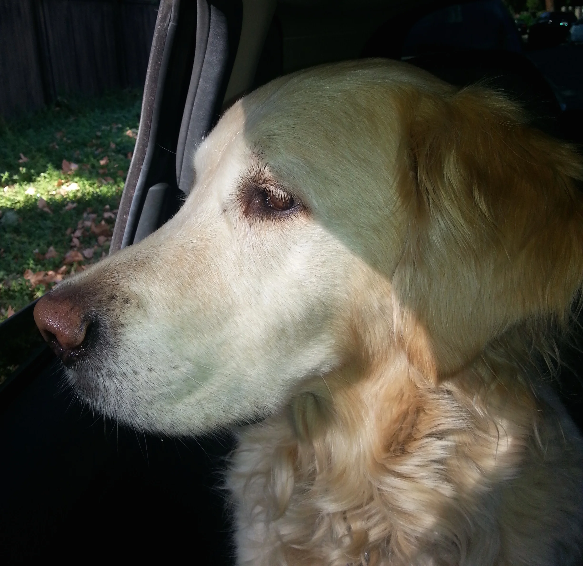 Louie Eidelman pondering his next move...