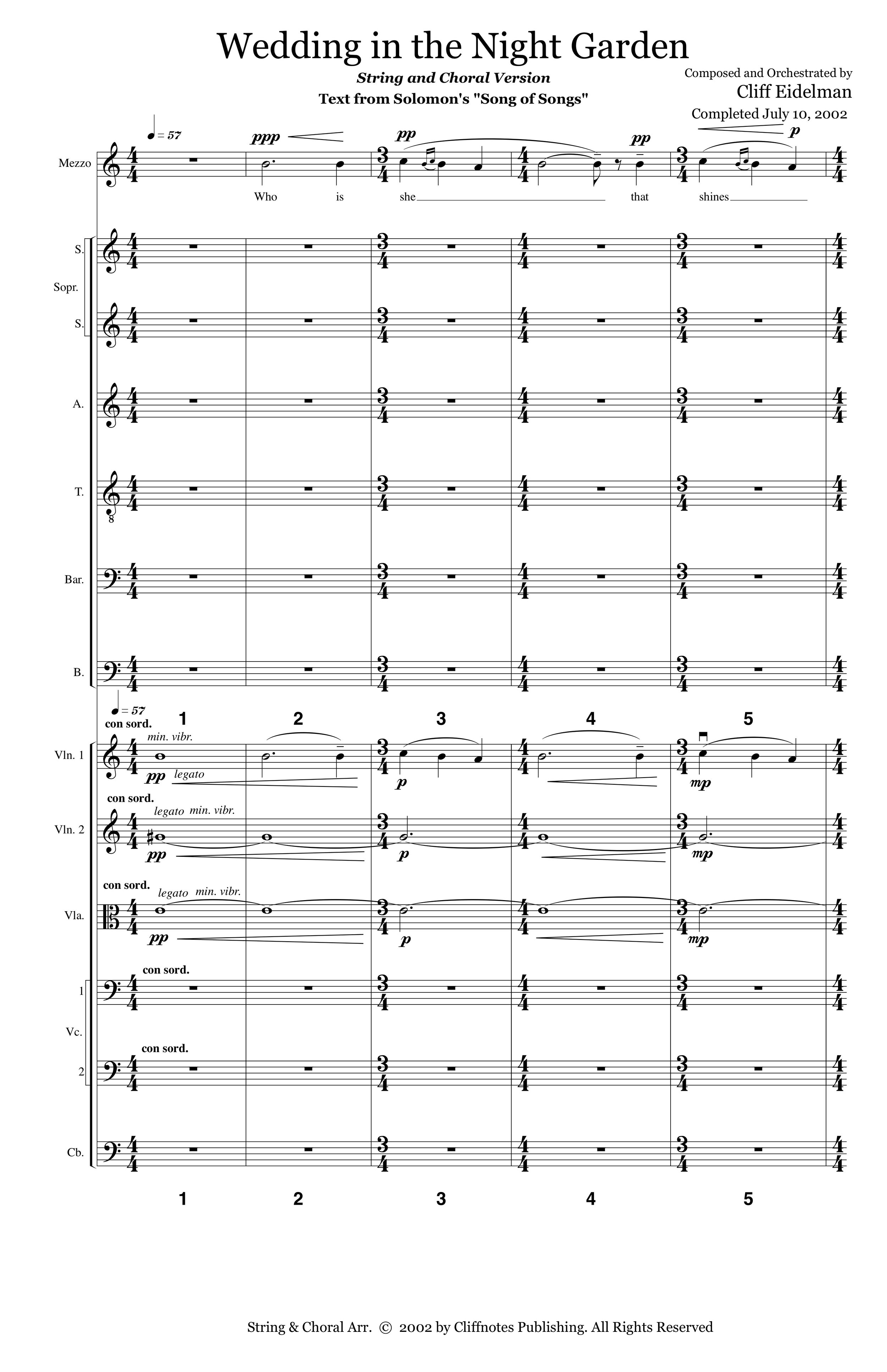 WITNG_MS Strings Choir p1.jpg