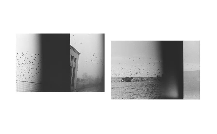 Cristina R. Vecino, "Memoria Construida", 2016. 