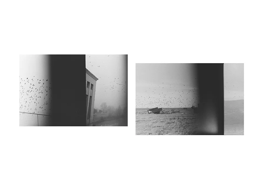 Cristina R Vecino, "Memoria Construida", 2016.