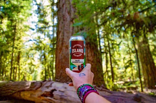 Currently drinking:
Faller from @vibrewing
&bull;
Walking amongst giants puts your place in the world in perspective.
🌲
Cathedral Grove allows for a journey amongst the majestic pillars of the towering ancient Douglas fir trees &ndash; some more tha