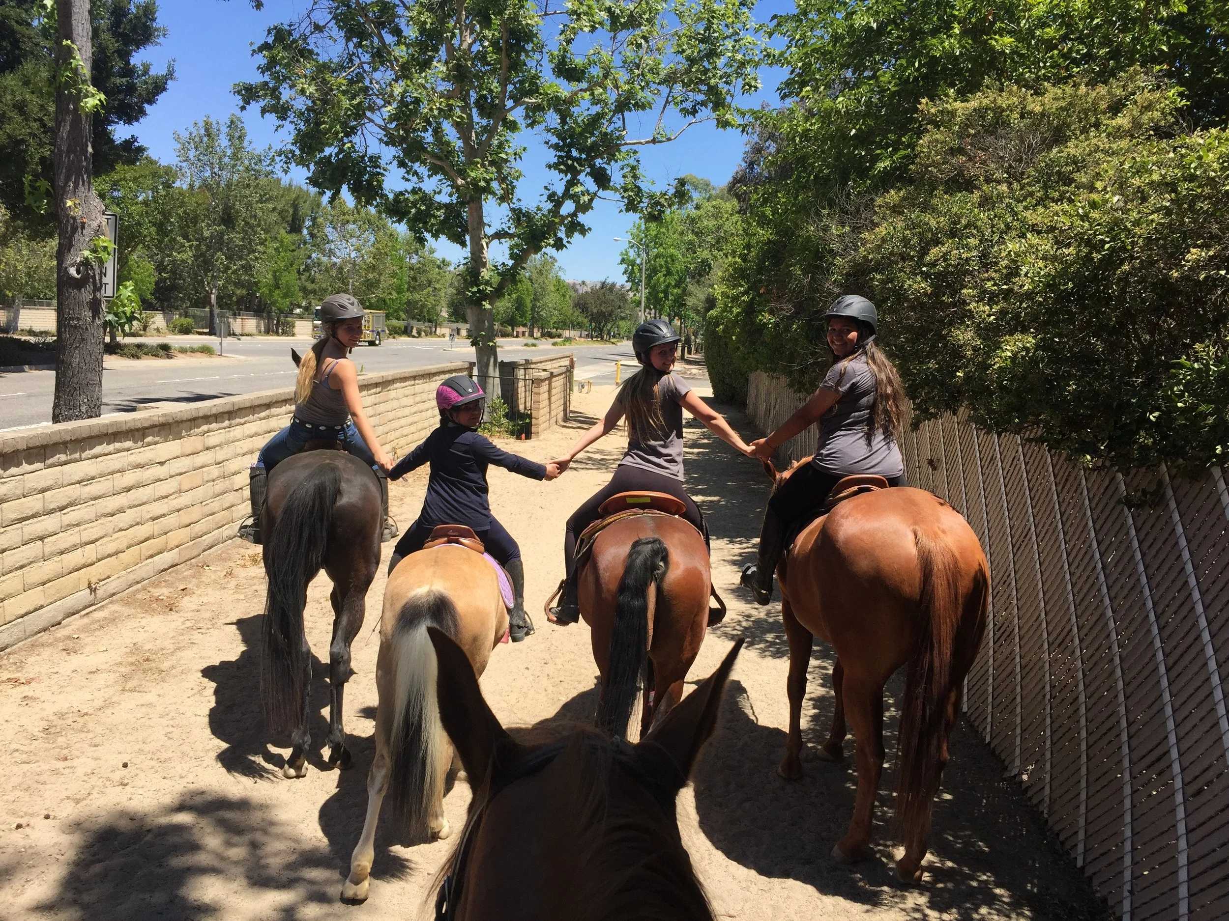 Cause we love horses!!