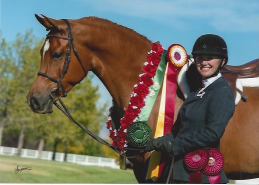 2025 Region 4 Sporthorse Pre-show