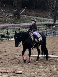 IMG_8631-preview 2.JPG