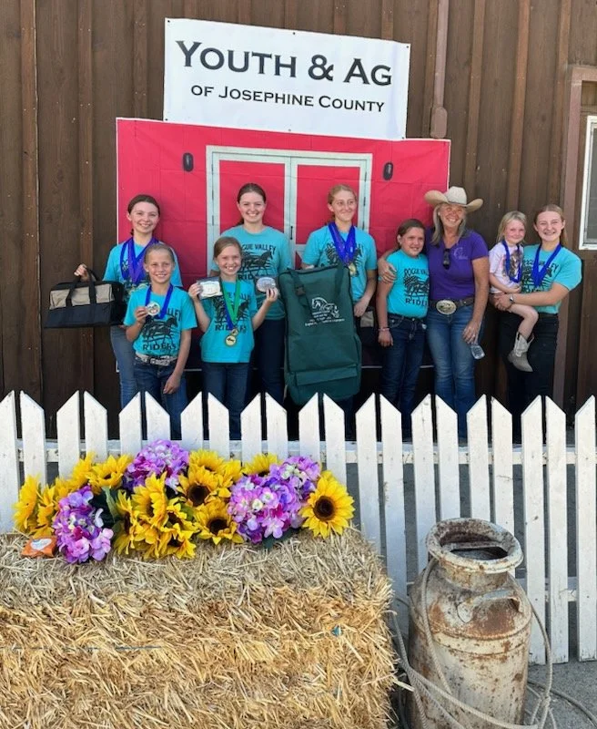 Youth and Ag. Horse Fair  