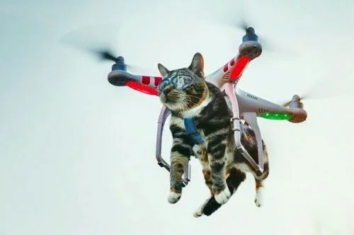 1550a2d42f035a739f00c114393c9e30--album-photos-drones 2.jpg