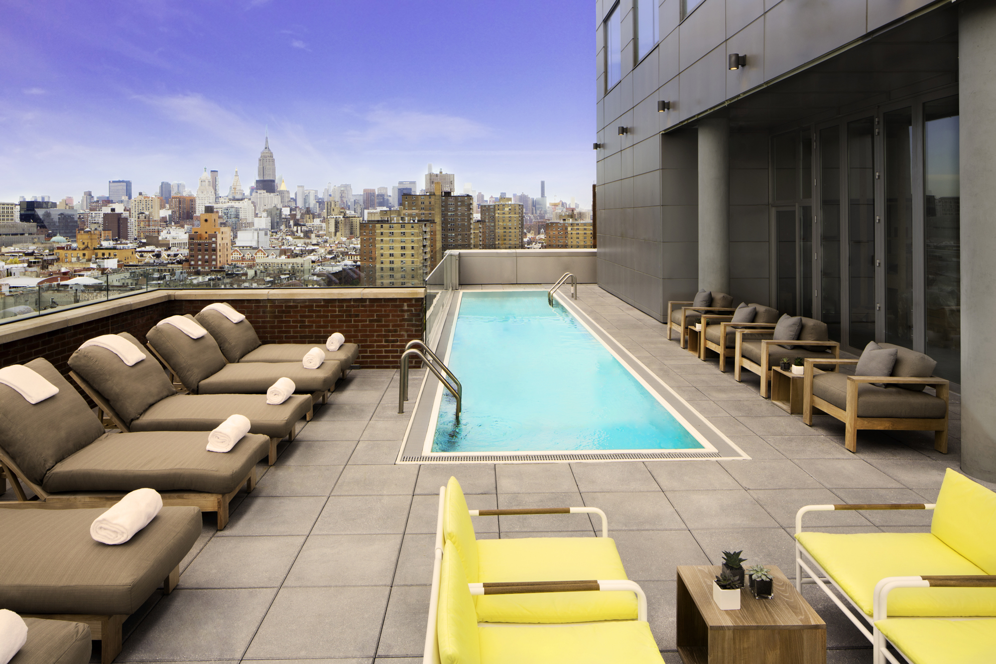 The rooftop pool at Mr. Purple
