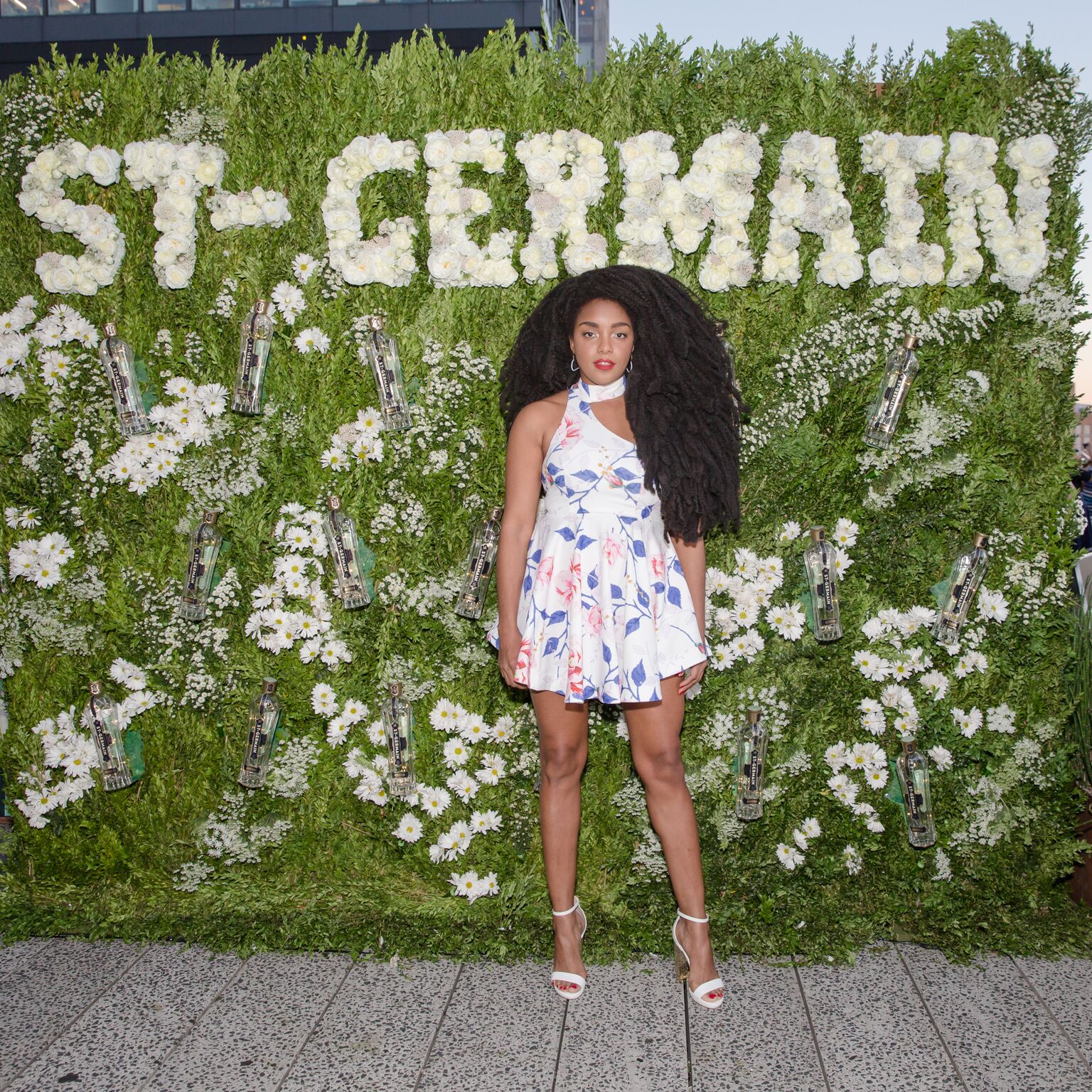 BFA_20140_2531048.jpg