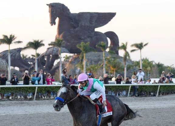 Arrogate | Susie Raisher