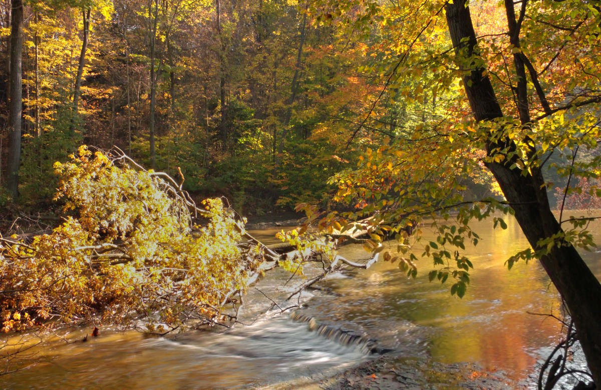 autumn_trees_ohio_creek_forest_waterfall_stream_hiking-428957.jpg