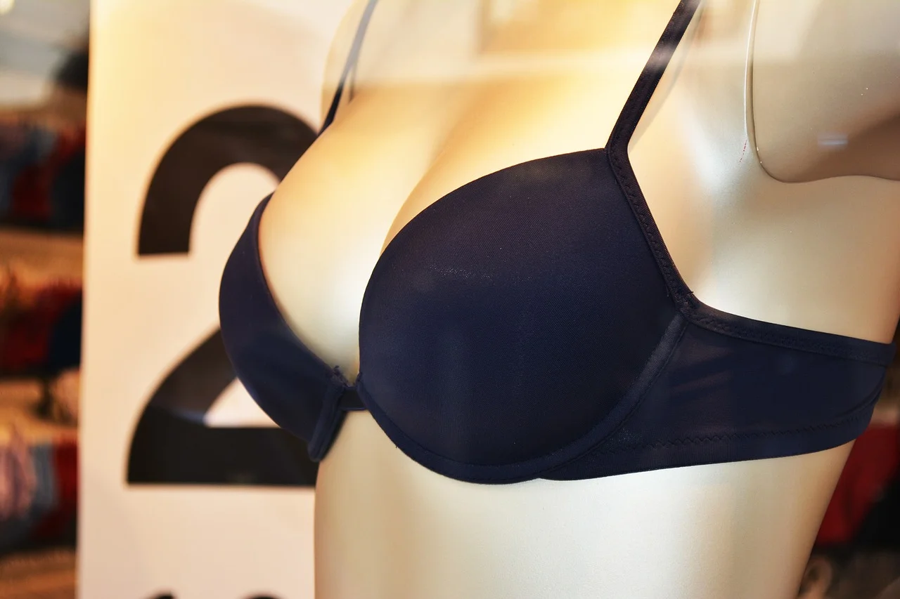 bra-770156_1280.jpg
