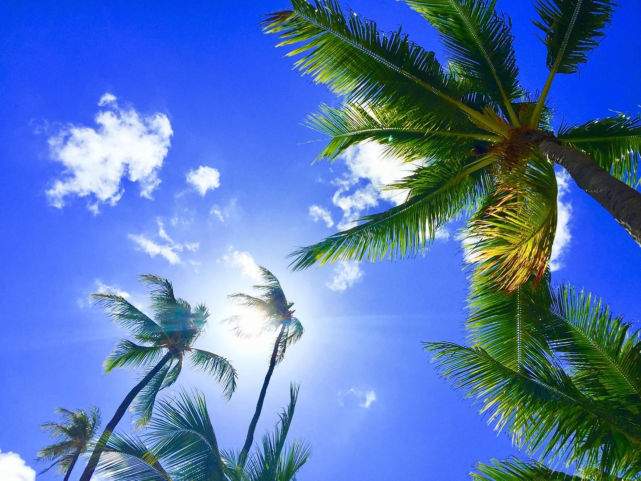 hawaii-2700190_1280.jpg