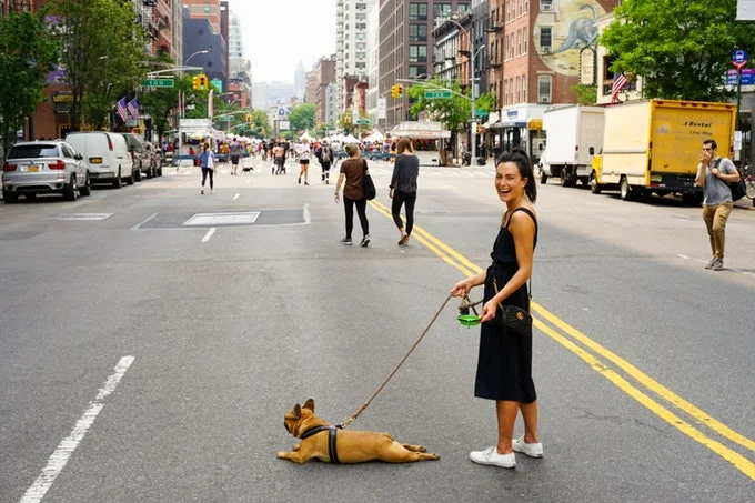 pet-ownership-nyc.jpg