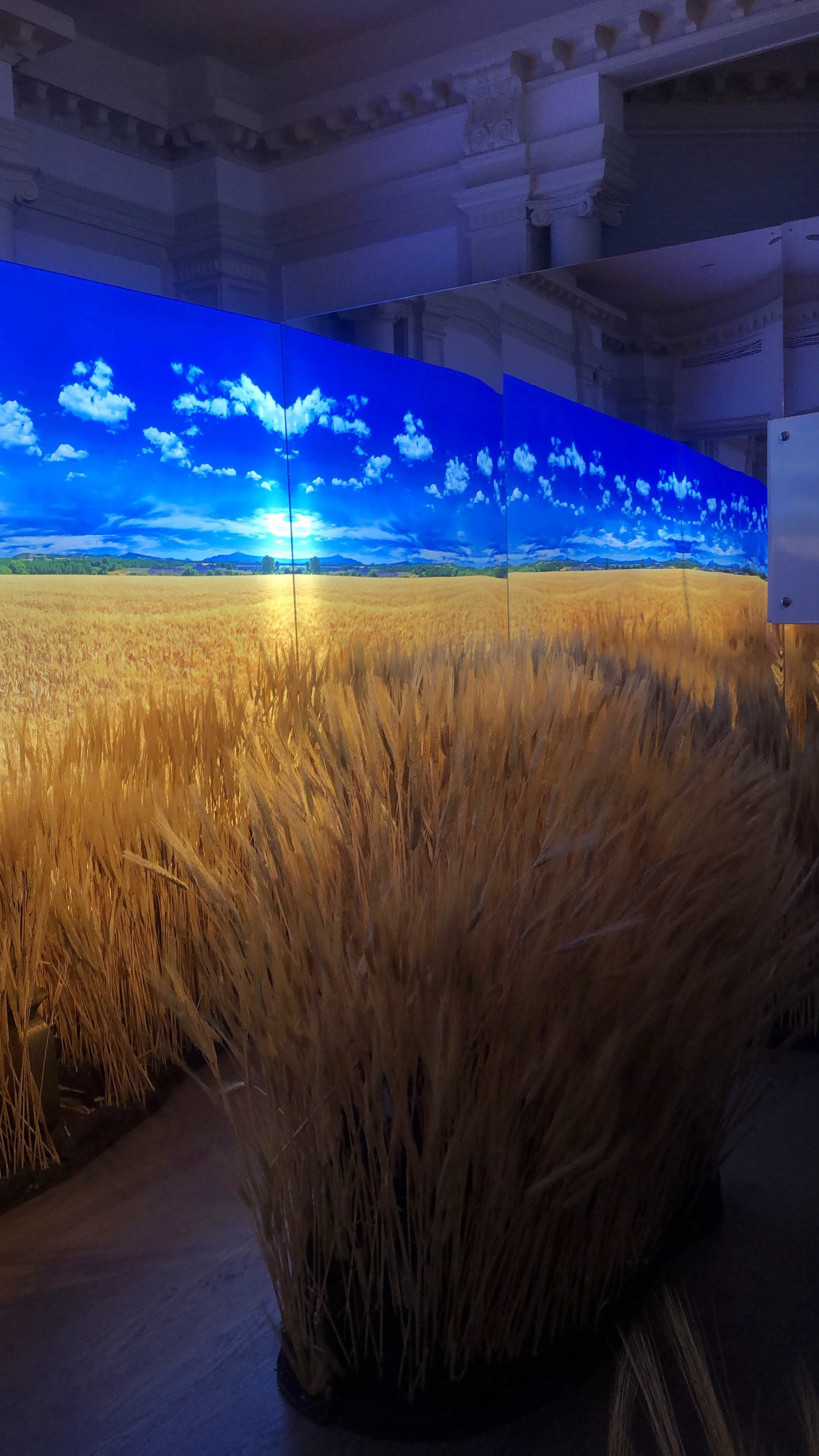 Barley Field Activation.jpg