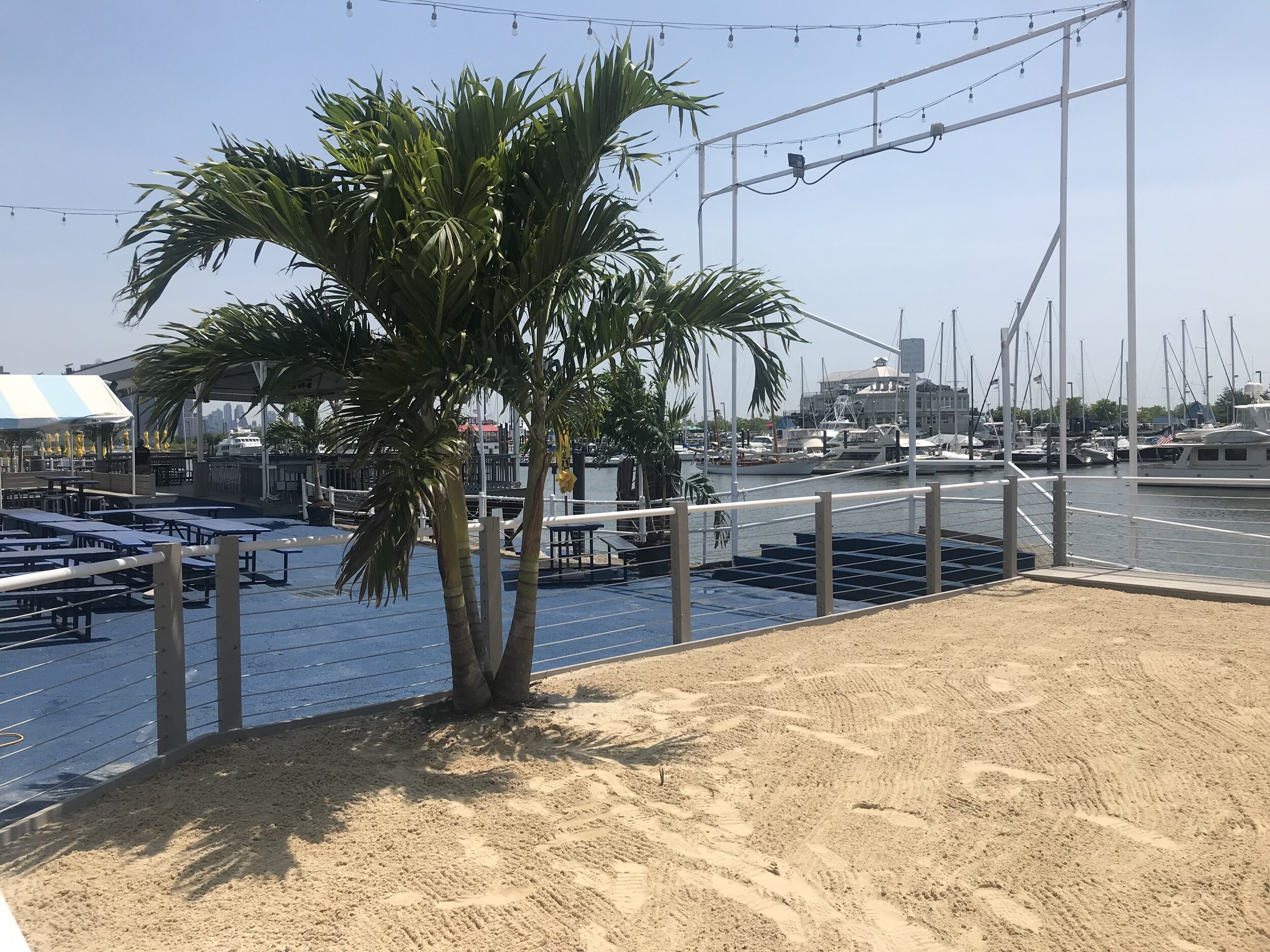 Surf City.jpg