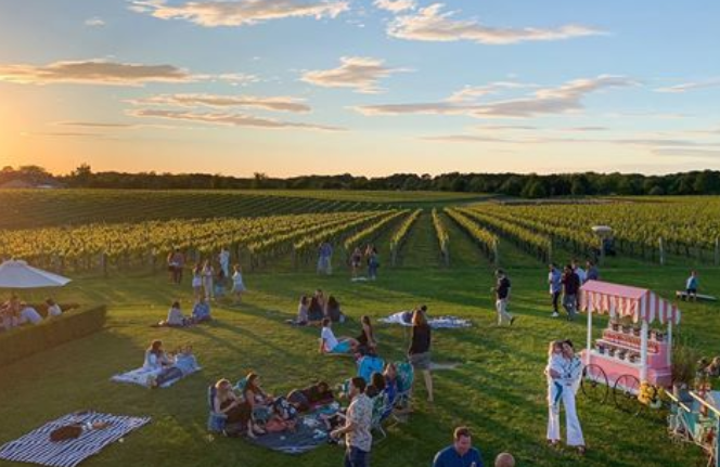 Wineries In The Hampton's You Should Be Visiting