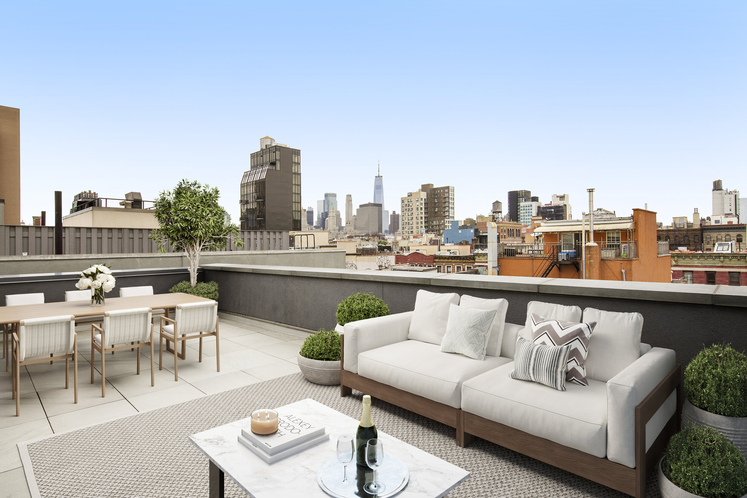 Sarah-147 Ludlow Street-Terrace-staged-SA-4.jpg