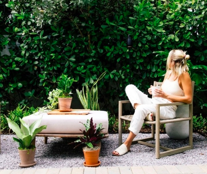 Luxurious Plants For Your Home 