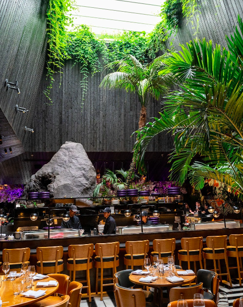 Experience Chotto Matte's New Jungle Brunch