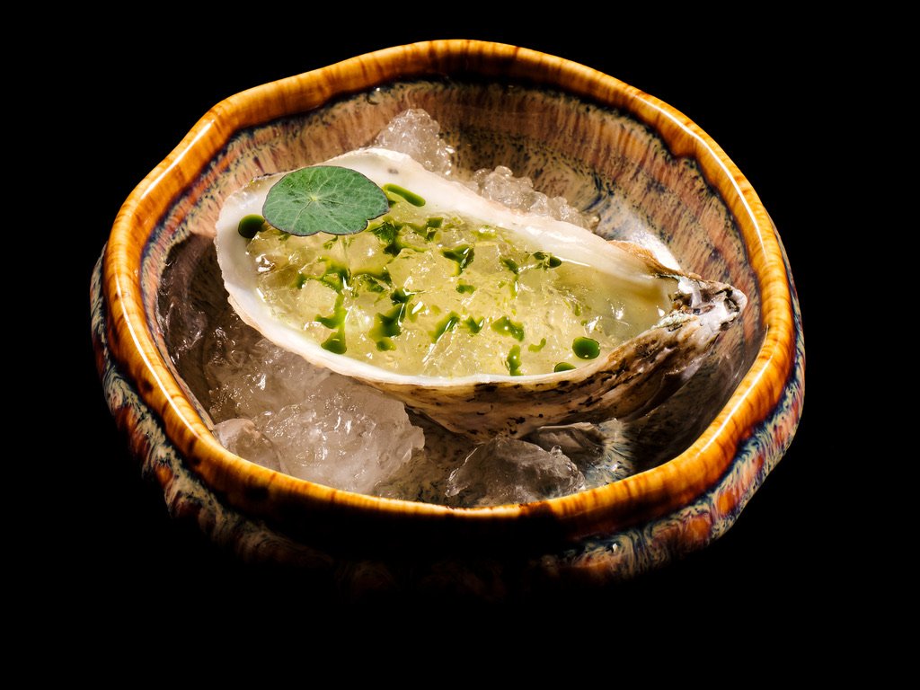 Oyster.jpeg
