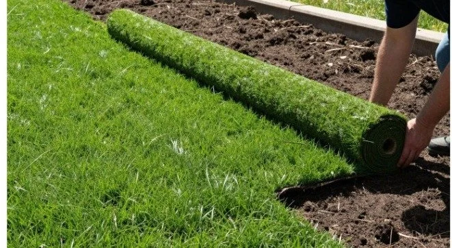 Screenshot of What Homeowners Should Know Before Booking Sod Installation in Calgary.docx - Google Docs (1).jpg