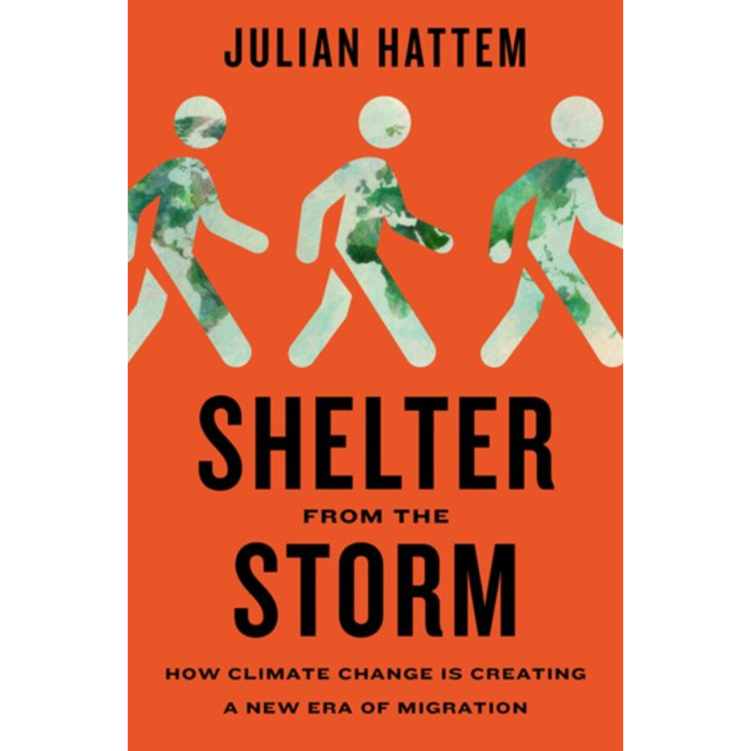 Julian Hattem - Shelter from the Storm