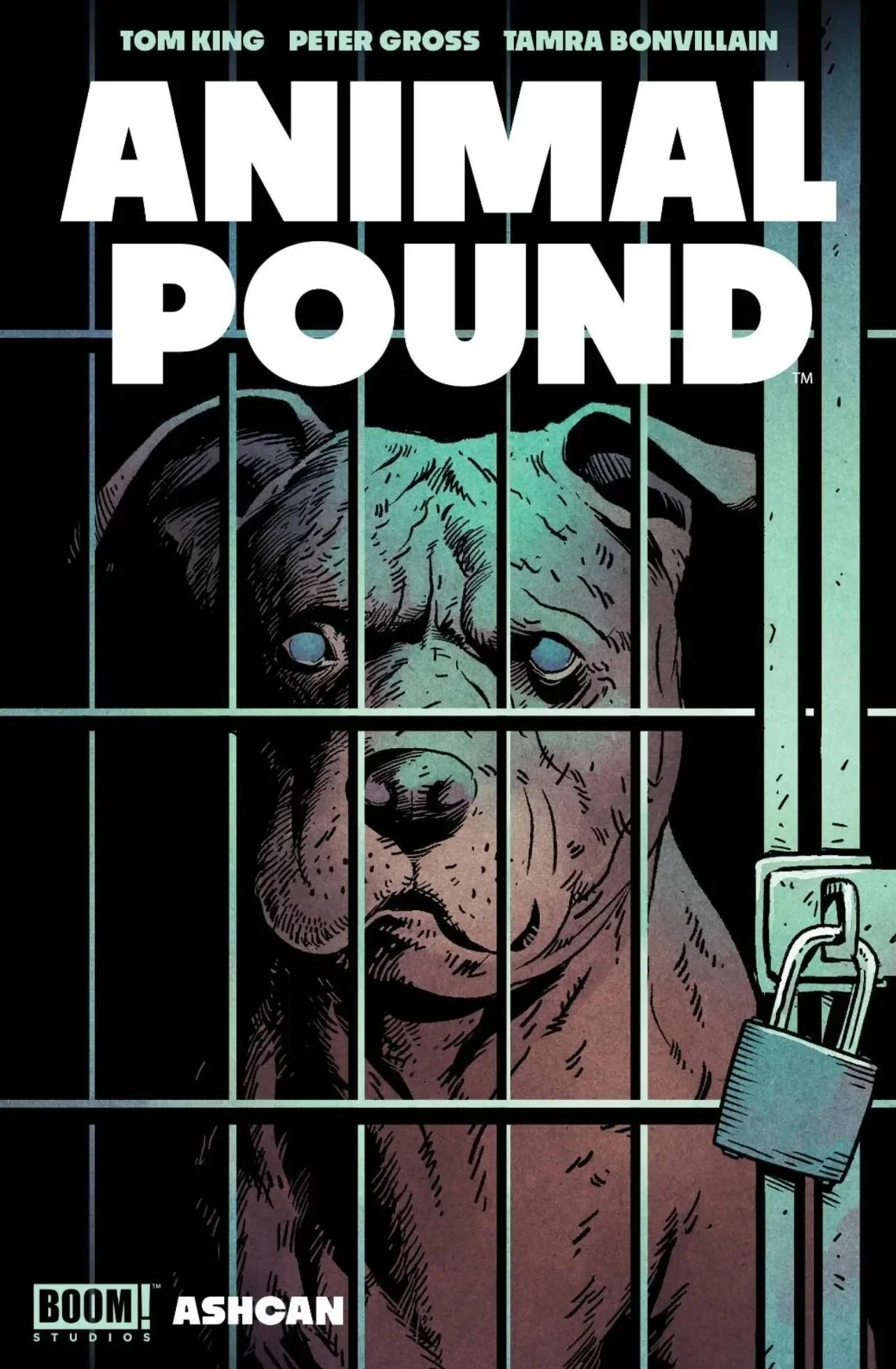 Animal Pound.jpg