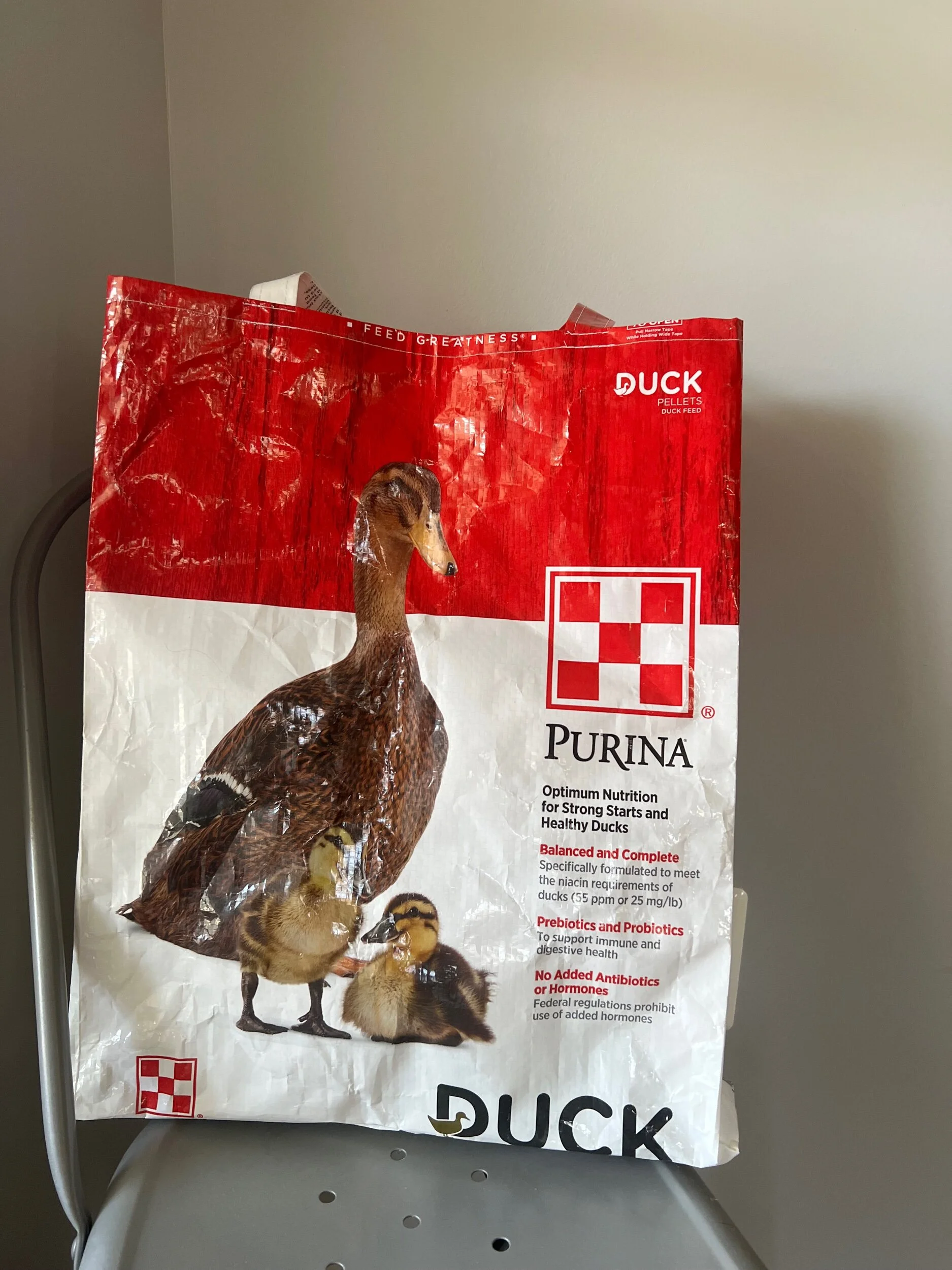 4BA6EFF2-7E58-42DA-AF2F-0D9EE91A716E