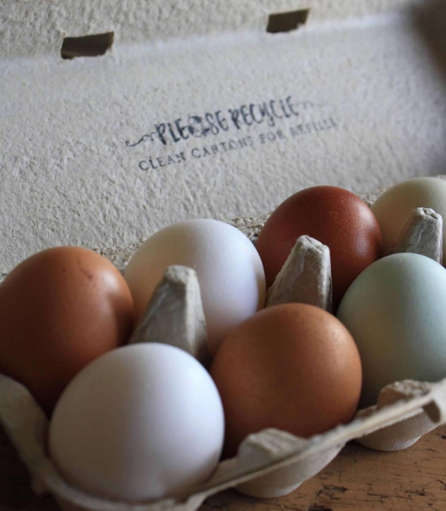 We have a LOT of eggs! Chicken, duck, goose and quail eggs will be available both for farm pick up this week and at the @wheatlandspring farmers market on Saturday from 11-1!

So excited to see all our favorite farms:
🥬 @farmfireside 
🌸 @far_bungal