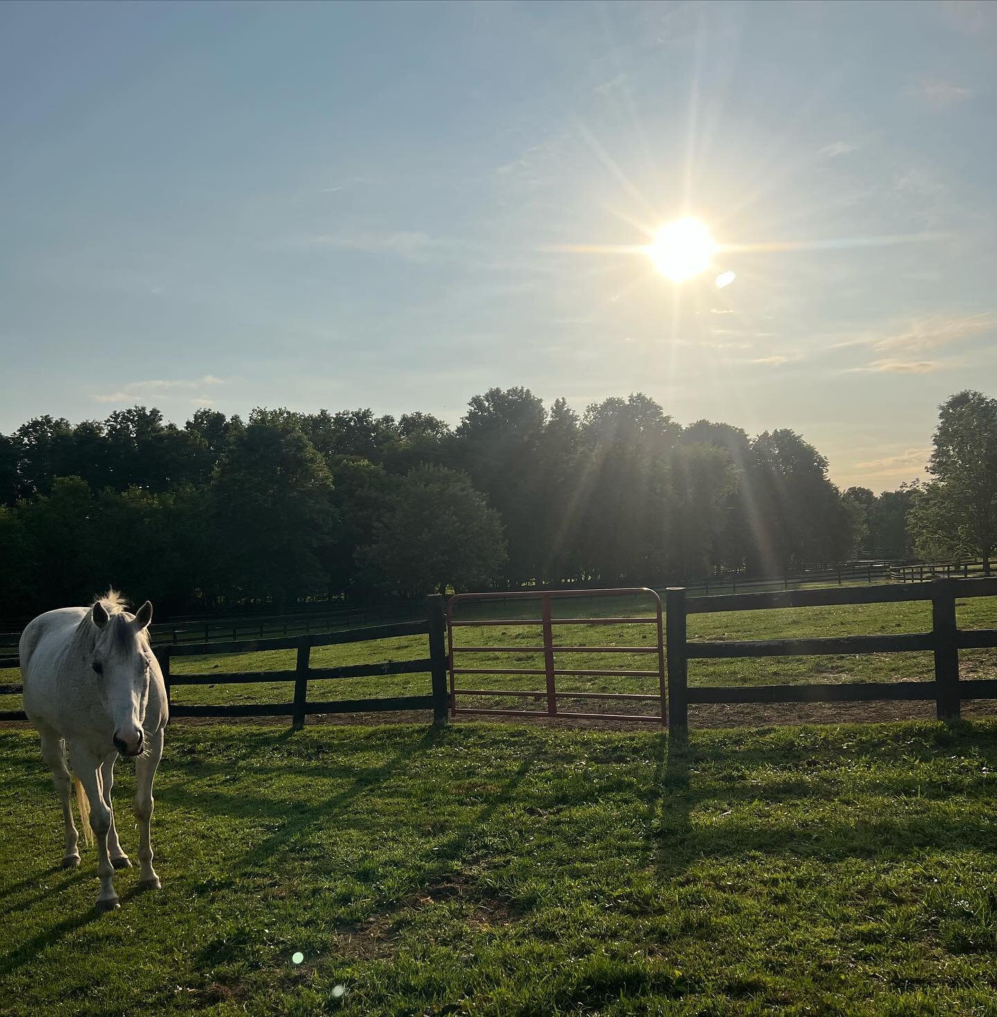 Happy Thursday! Such a gorgeous morning 🥰