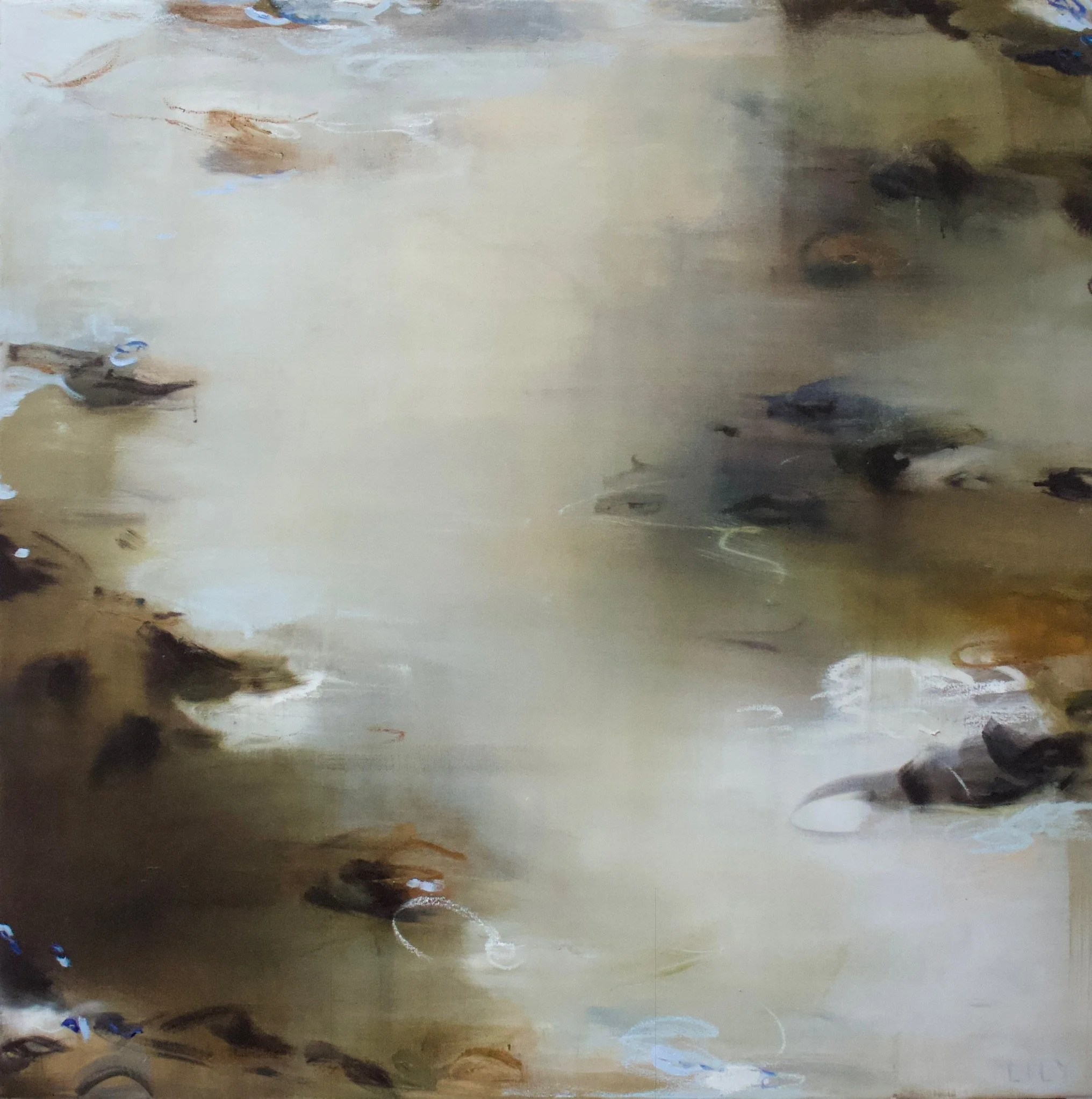  36in x 36in.   oil on canvas  COMING SOON! 