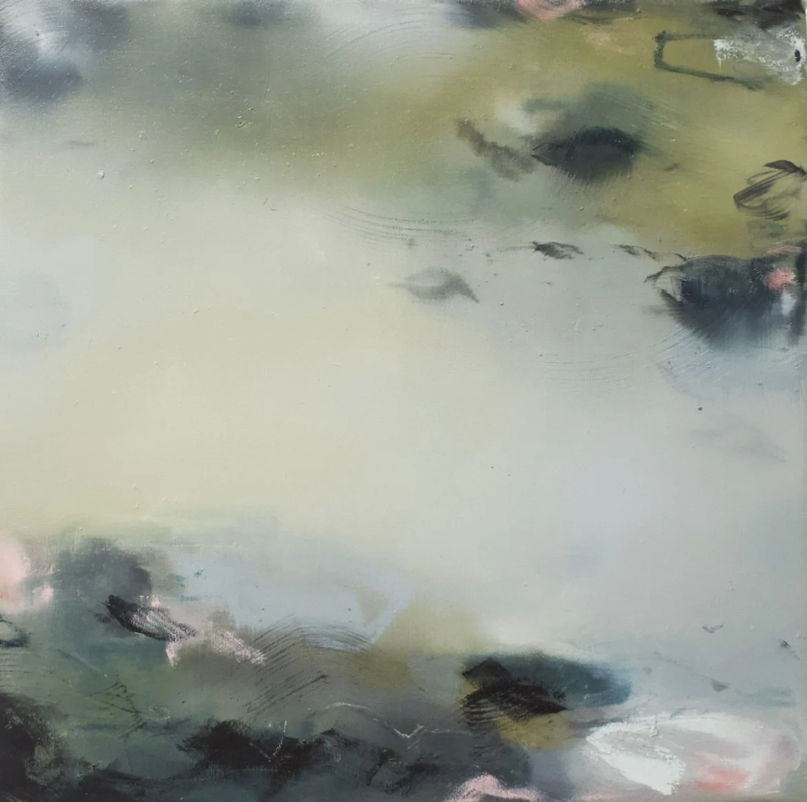 2026 - Collection II