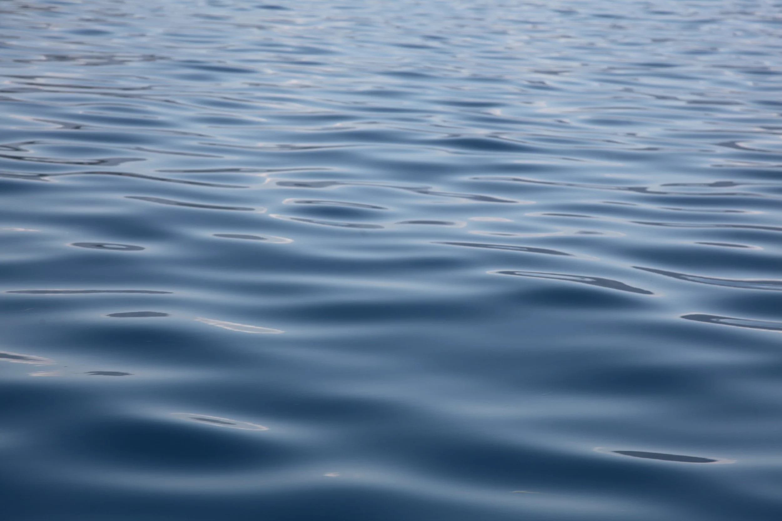 blue.jpg