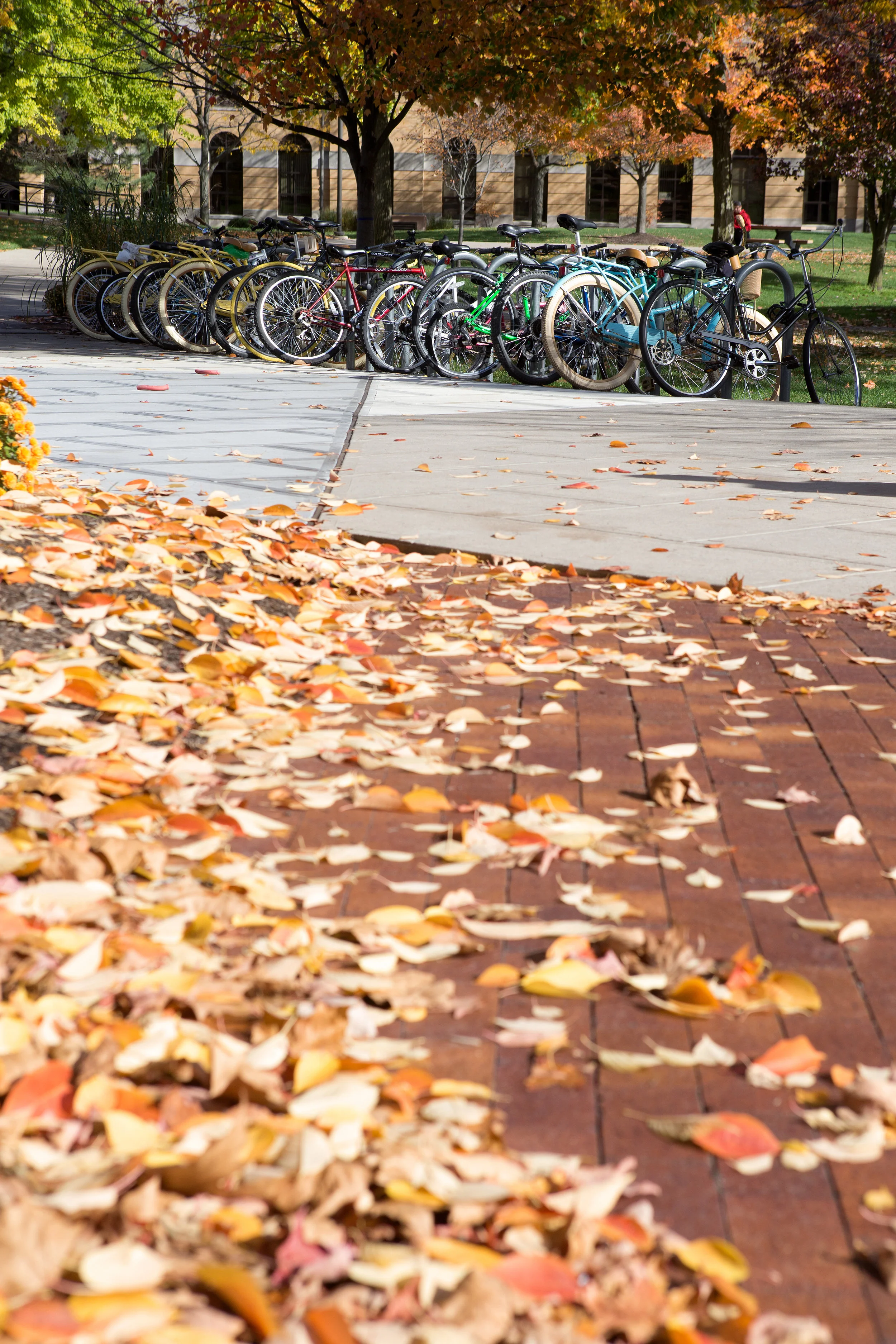 CampusScenes_9073.jpg