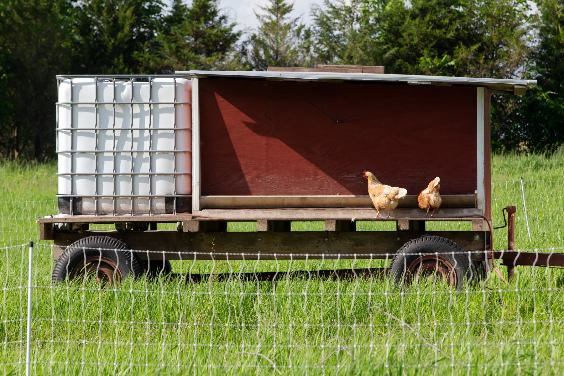 Weber_Ranch_0568.jpg
