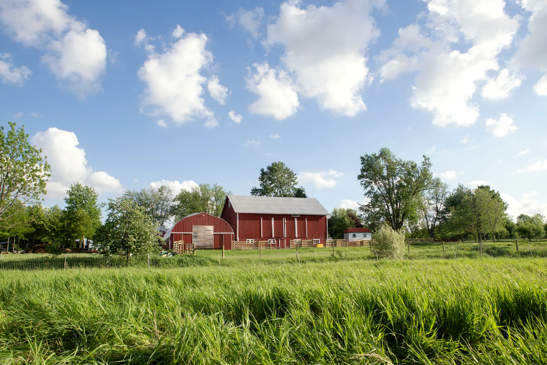 Weber_Ranch_1082.jpg