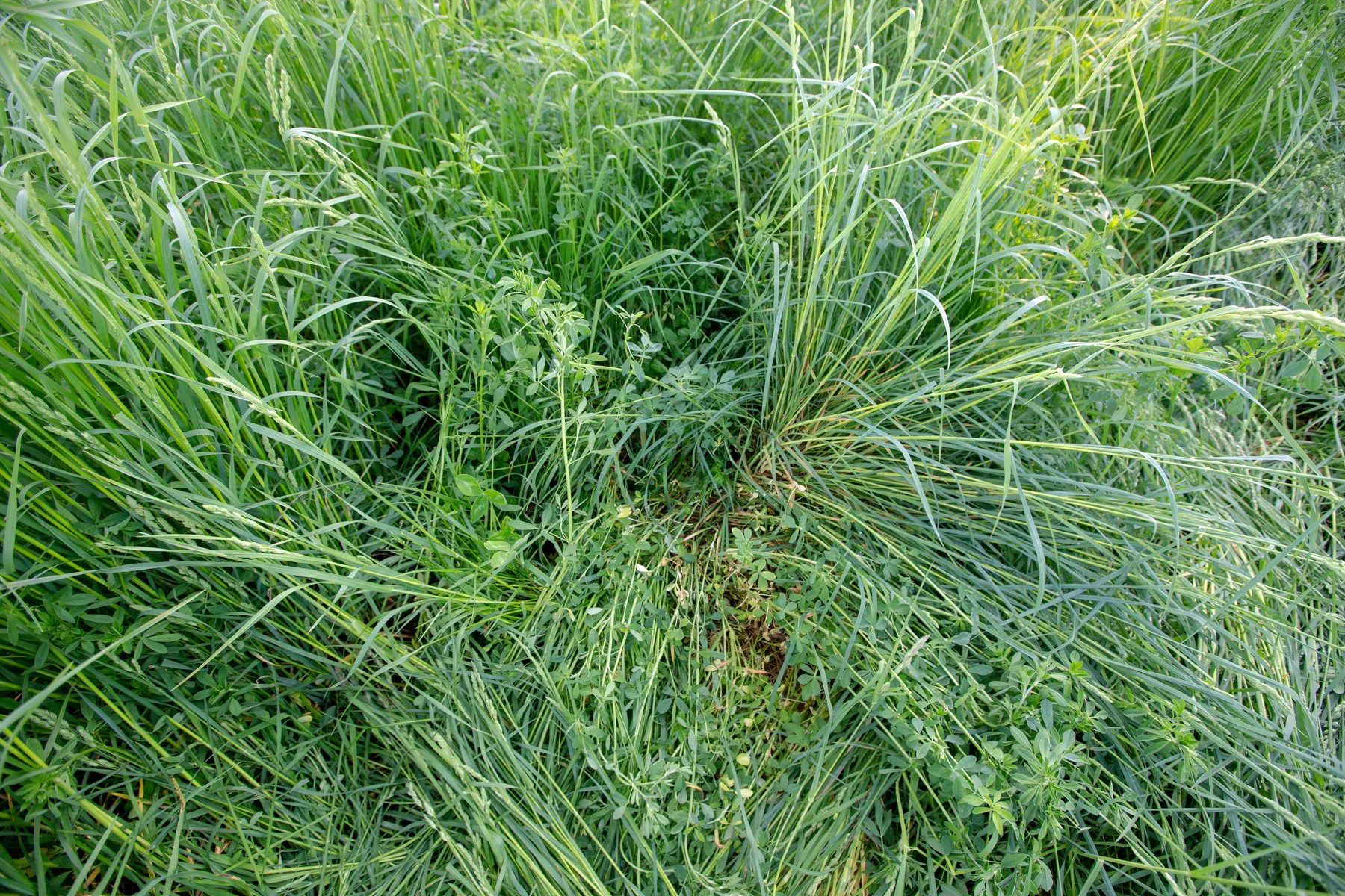 Weber_Ranch_1141.jpg