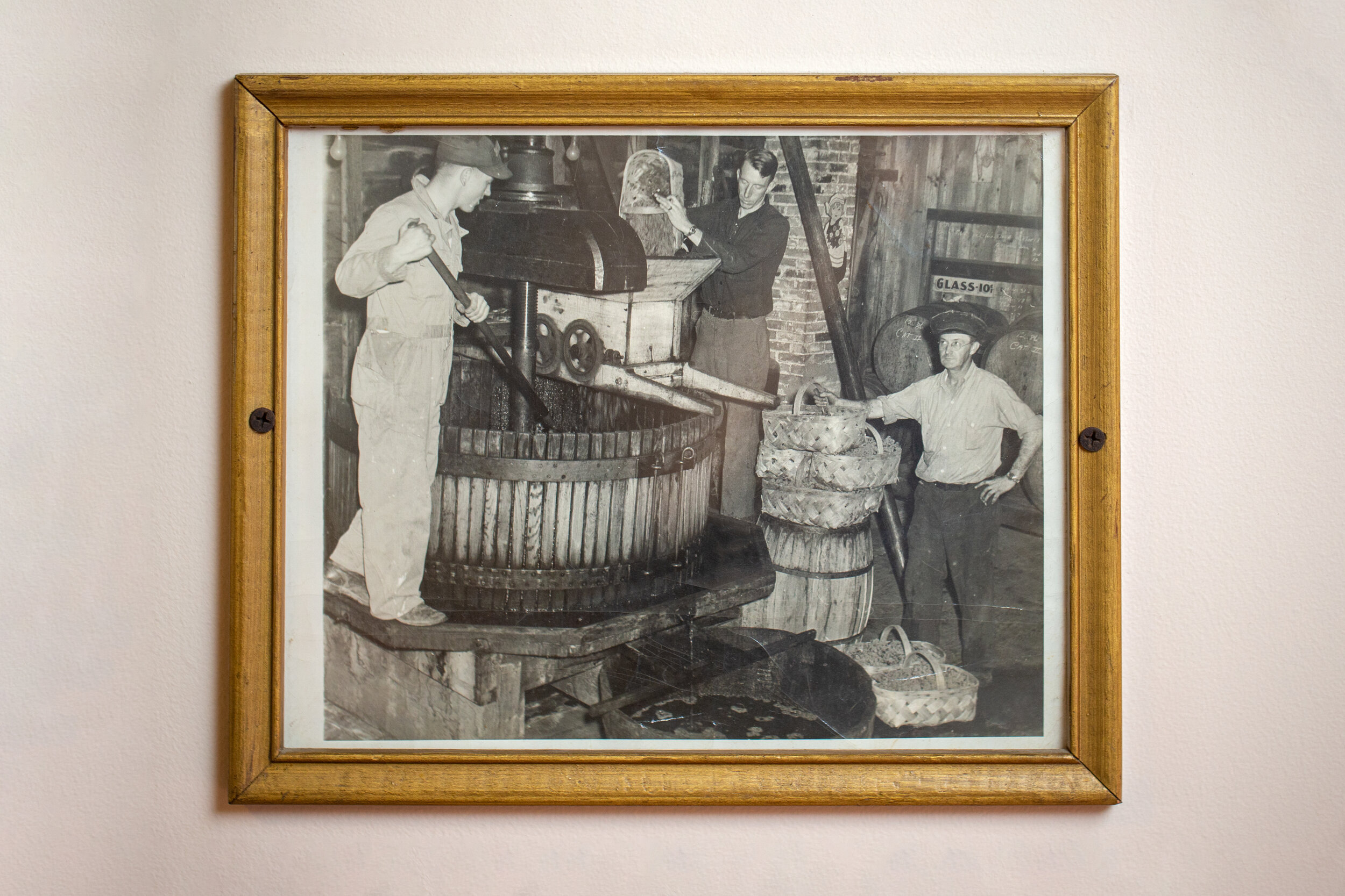 HeinemansWinery_4896_2.jpg