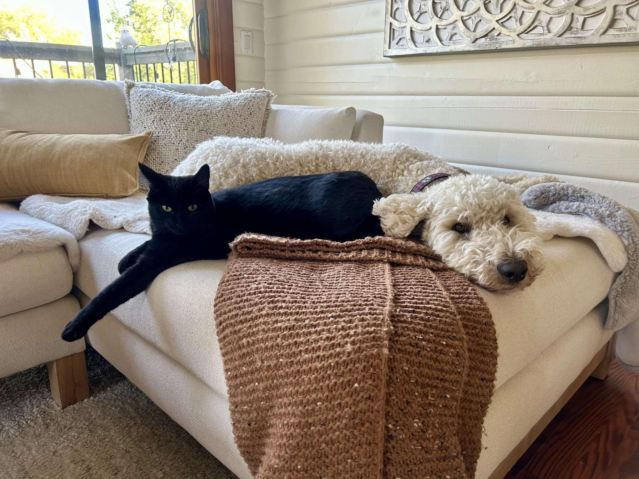 Team Members Midnight &amp; Timber