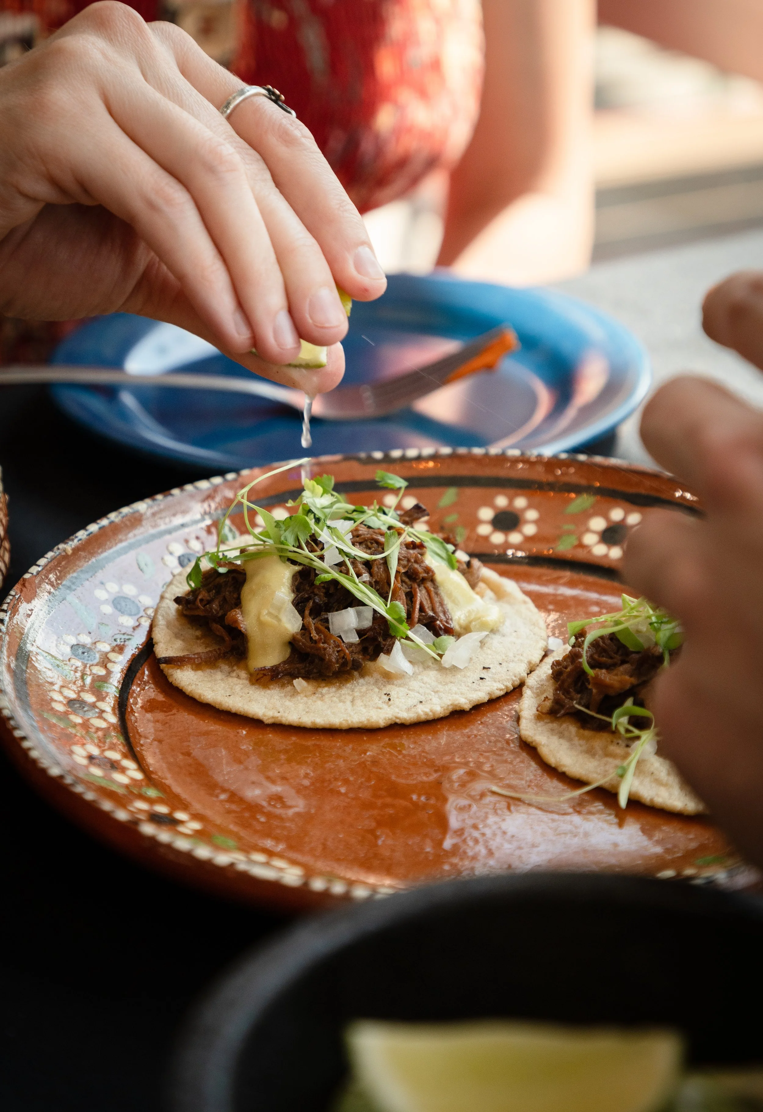 Food Proposal Images-15.jpg