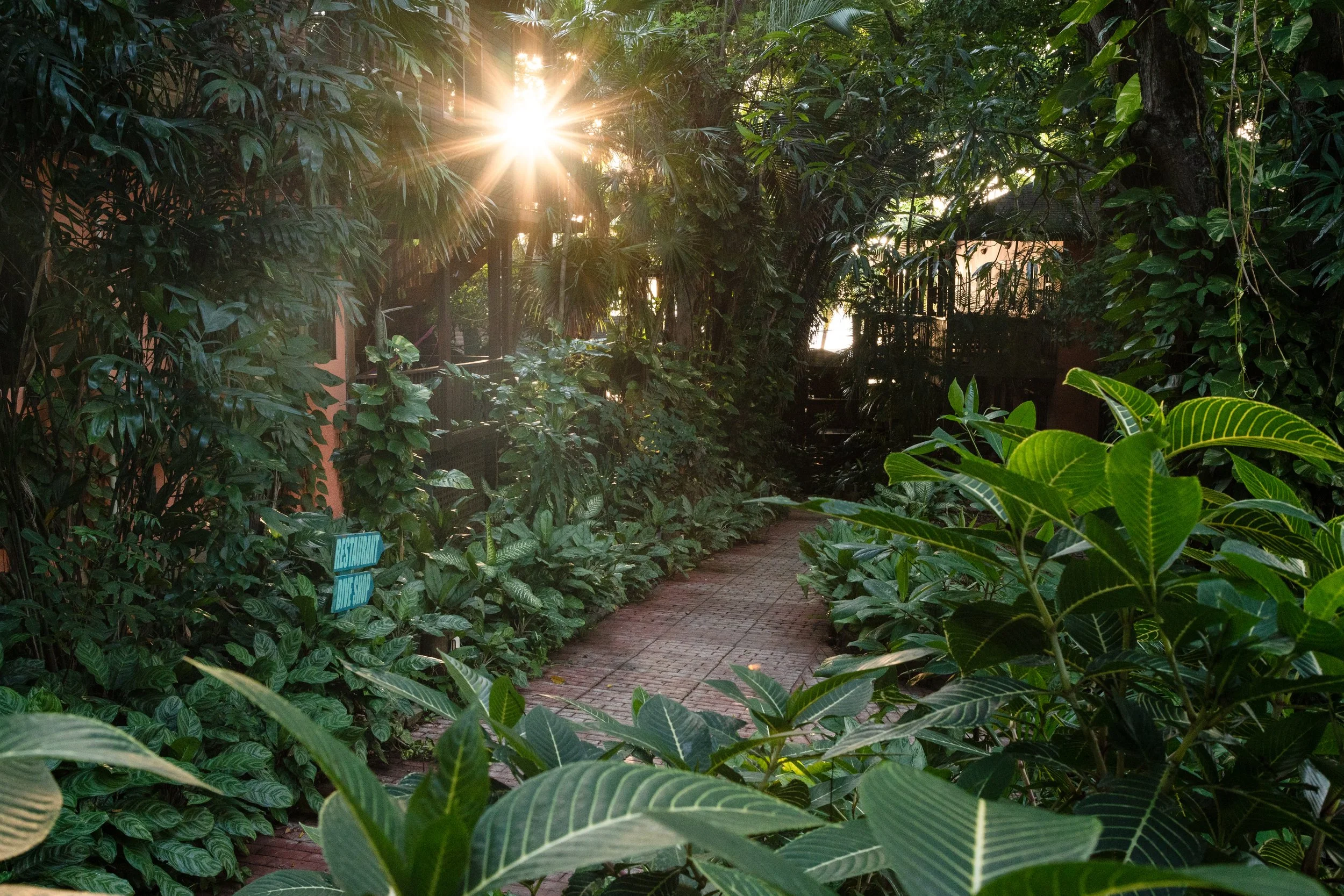 Experience Proposal Images-7.jpg