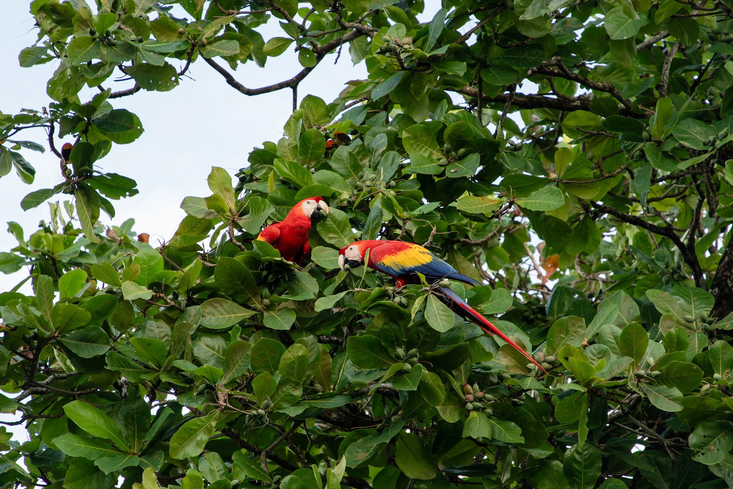 Experience Proposal Images-31.jpg