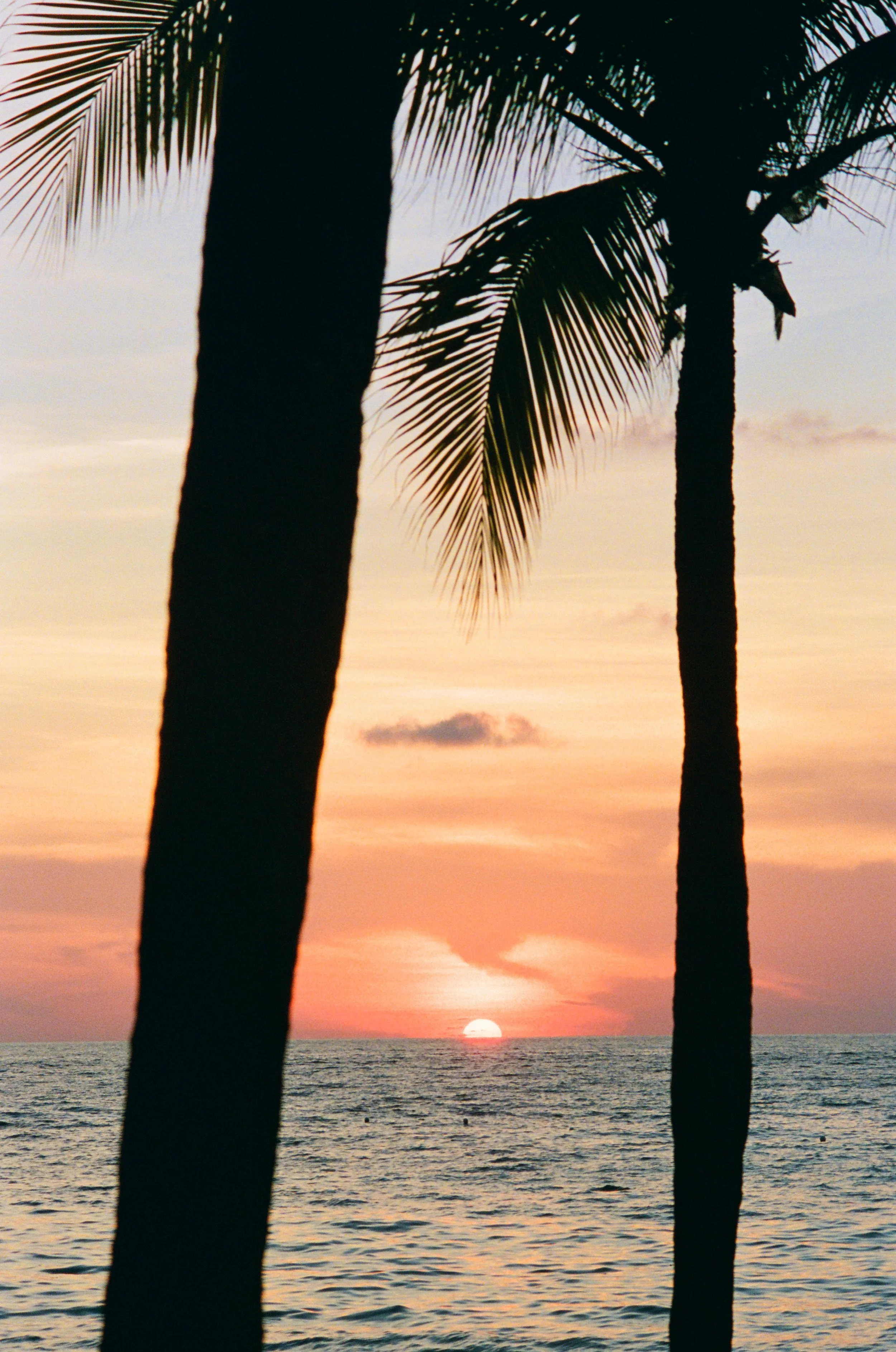 Room Proposal Images-13.jpg