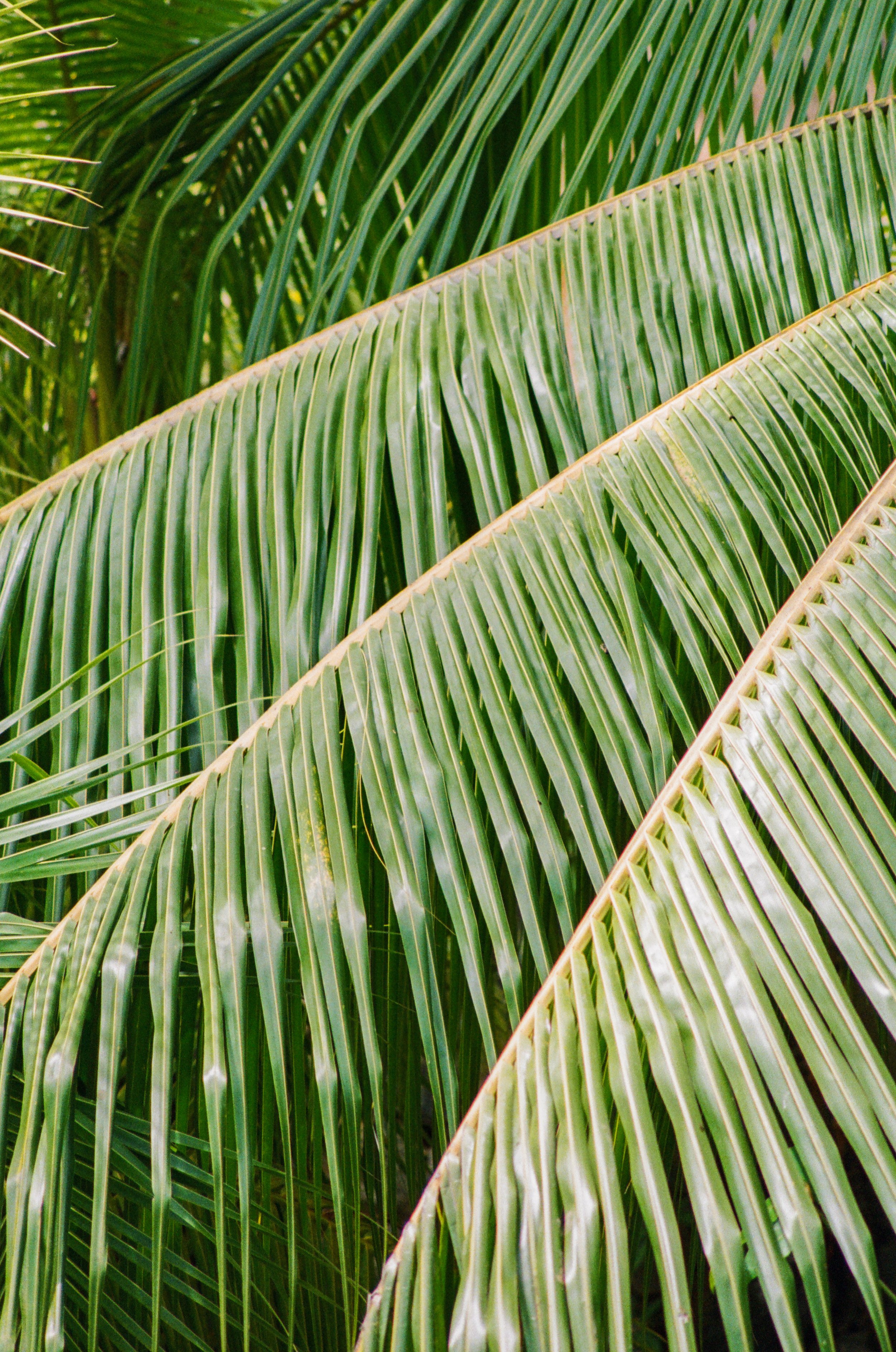 Room Proposal Images-15.jpg